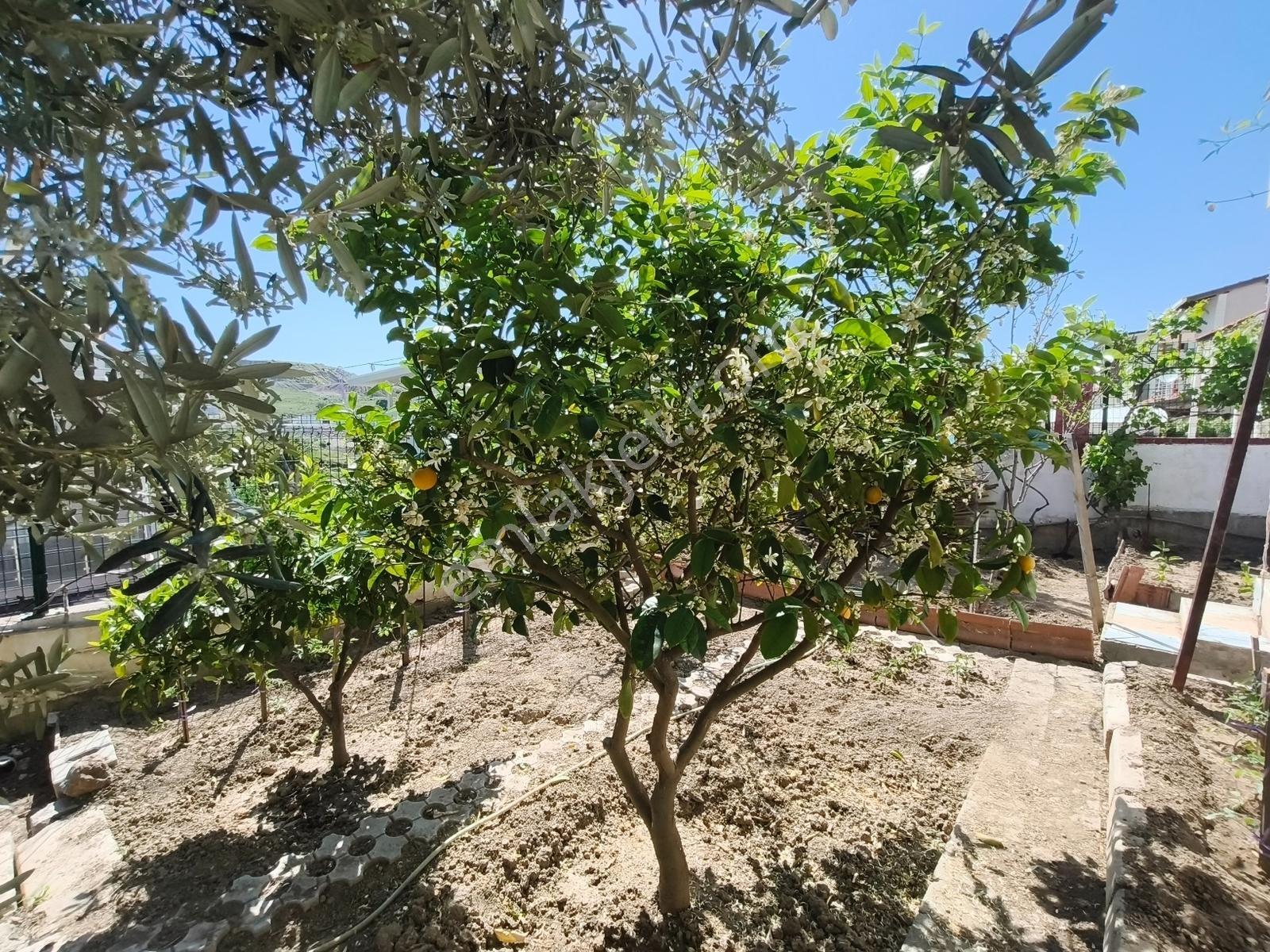 İzmir Güzelbahçe Çamlı Mahallesinde Tam Müstakil Villa - Görsel 13