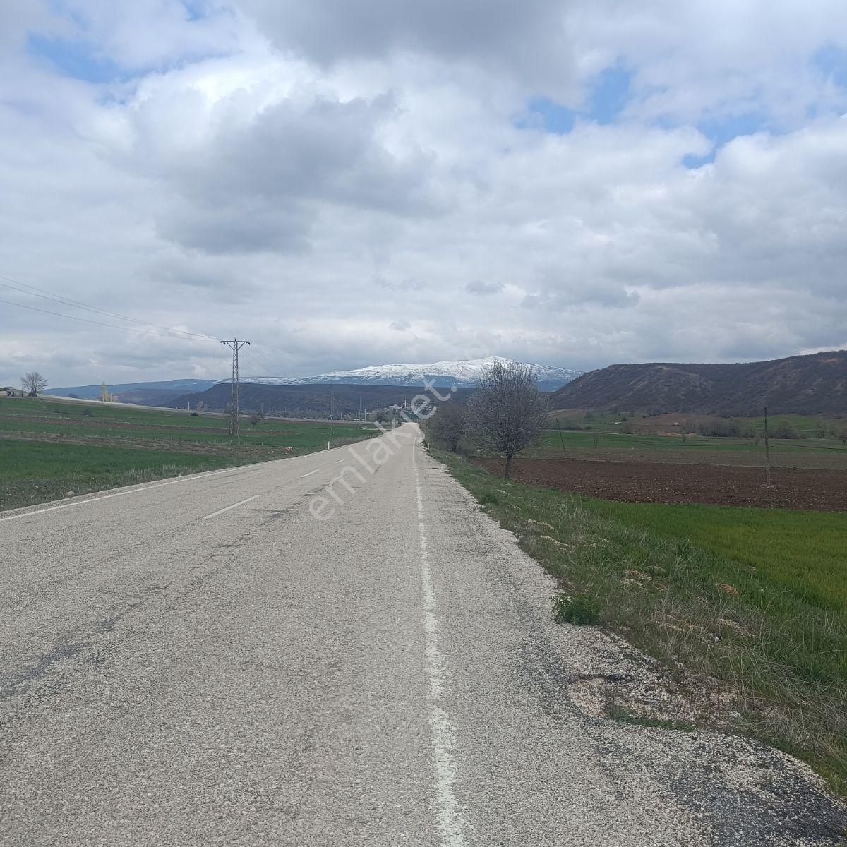 Derbentli Gayrimenkul'den Anayola Cephe 8481 M2 Tarla - Görsel 3