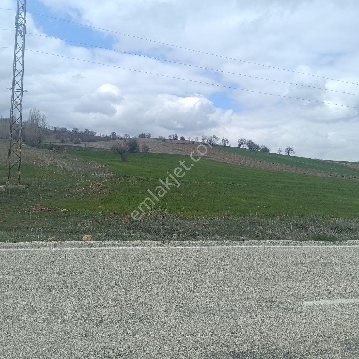 Derbentli Gayrimenkul'den Anayola Cephe 8481 M2 Tarla