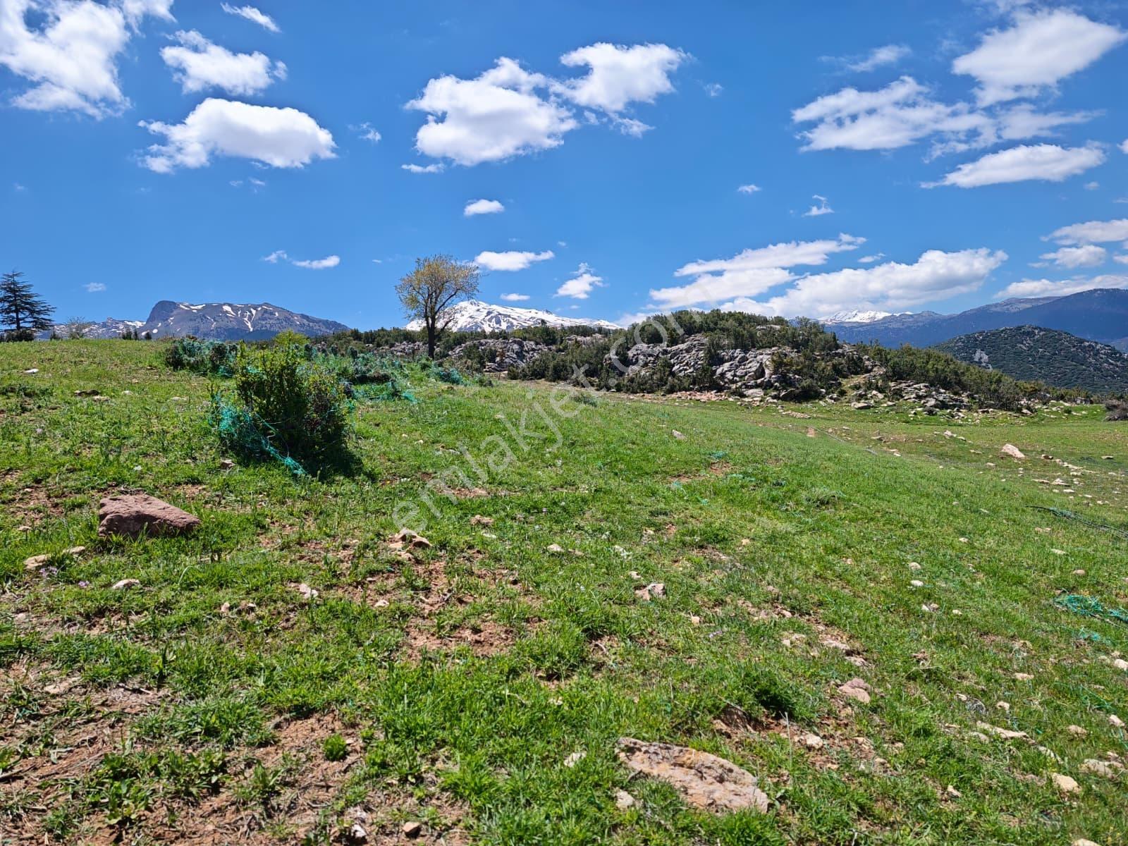 Seydikemer Seki'de Manzaralı Tarıma Uygun 3313m2 Satılık Arazi - Görsel 24
