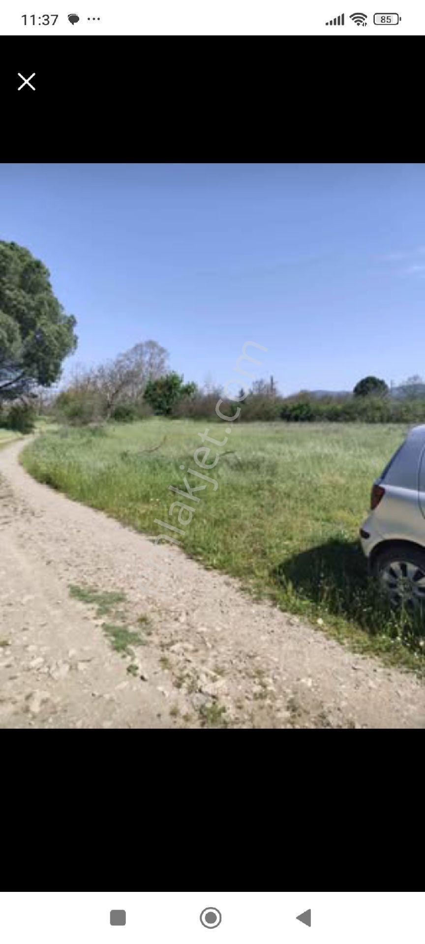 Kaz Dağlarında Cift Cephe Kadastro Yolu Olan Arsa - Görsel 5