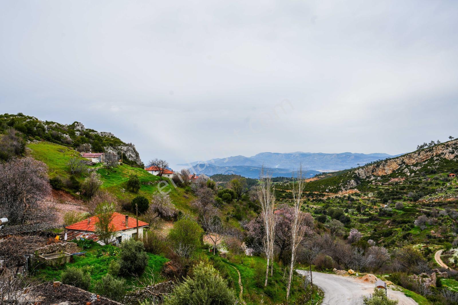 Muğla Menteşe Zeytinköy De 2 Adet Lüks Villa - Görsel 25