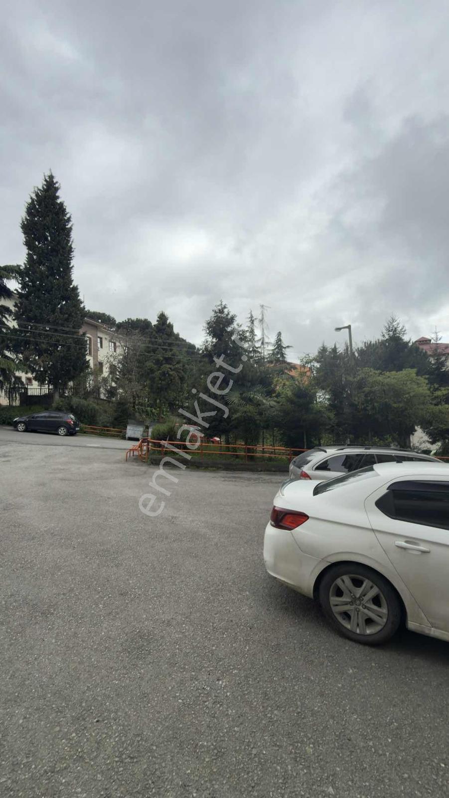 Trabzon Kiralık Daire - Görsel 11