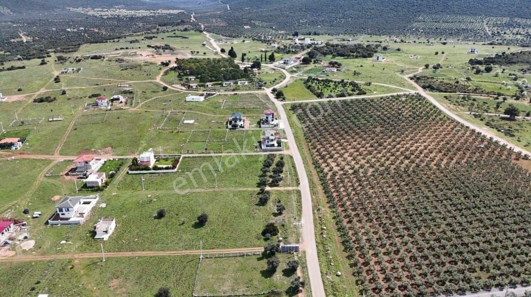 Aydın Didim'de Satılık İmarlı Tek Tapu Müstakil Parsel Arsalar Satıyoruz - Görsel 8