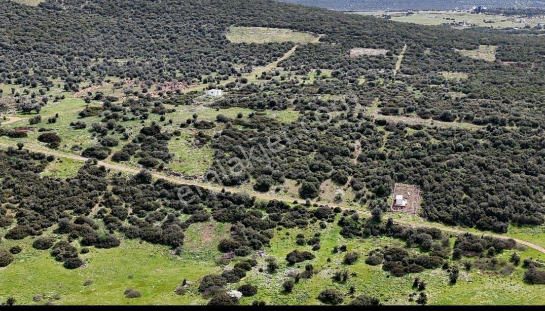 Aydın Didim'de Satılık İmarlı Tek Tapu Müstakil Parsel Arsalar Satıyoruz - Görsel 15