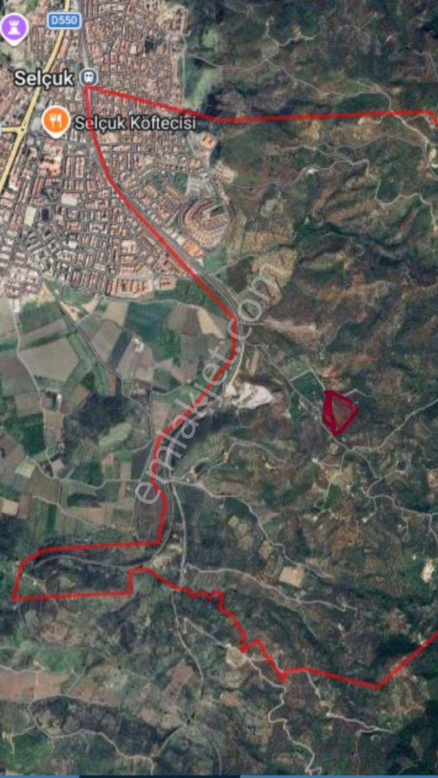 İzmir Şelçuk'ta Yatırıma Uygun Zeytinlik - Görsel 3