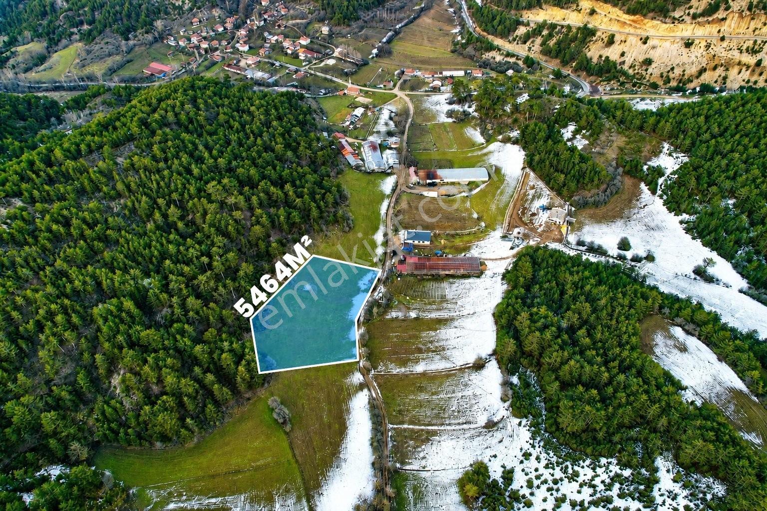 Bolu Göynük'te Satılık 5.464m² Resmi Yola Cepheli Arazi - Görsel 12
