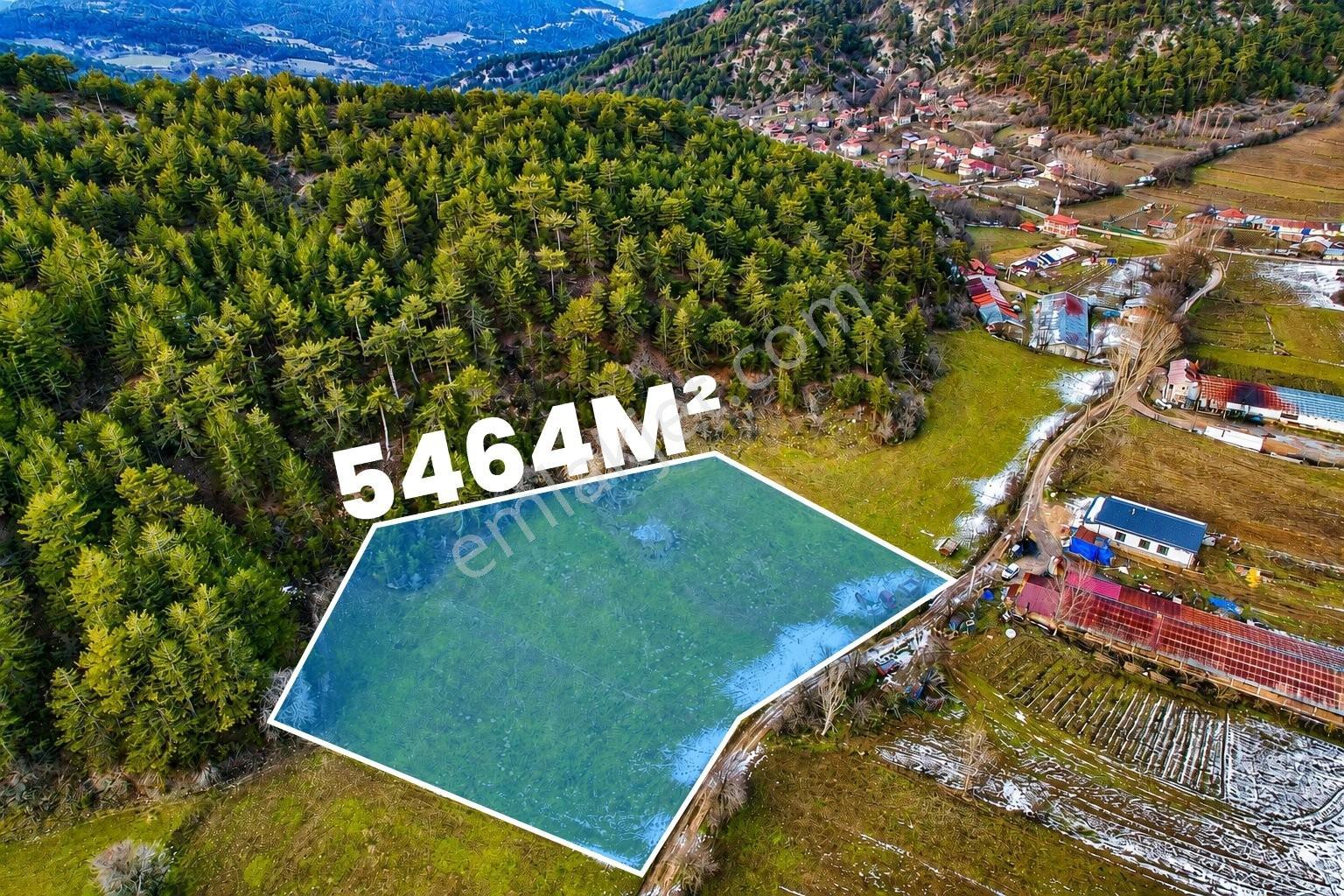 Bolu Göynük'te Satılık 5.464m² Resmi Yola Cepheli Arazi - Görsel 11