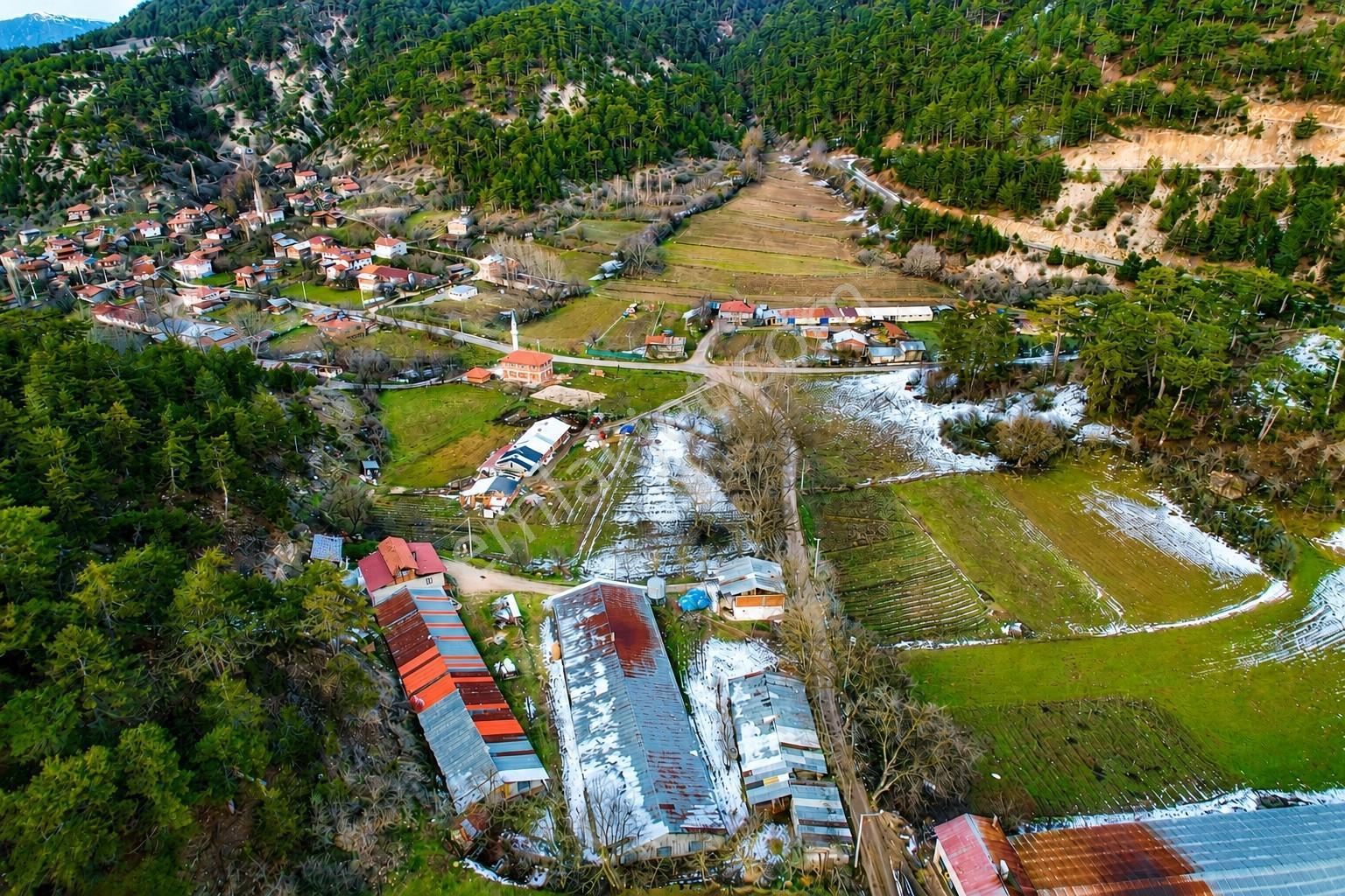 Bolu Göynük'te Satılık 5.464m² Resmi Yola Cepheli Arazi - Görsel 4
