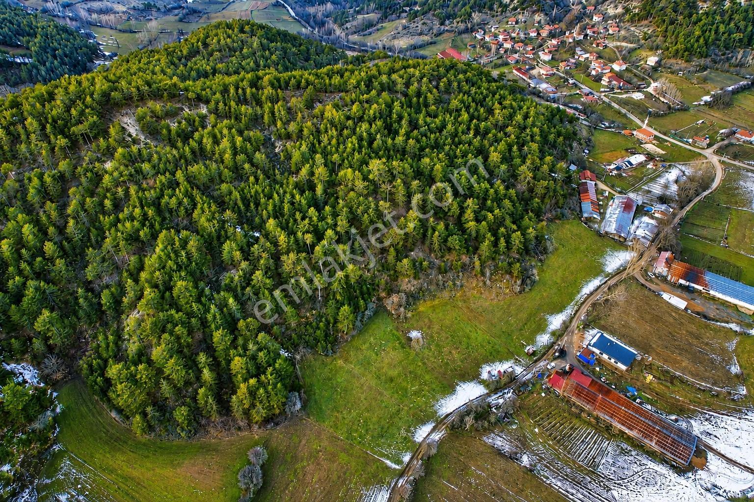 Bolu Göynük'te Satılık 5.464m² Resmi Yola Cepheli Arazi - Görsel 9