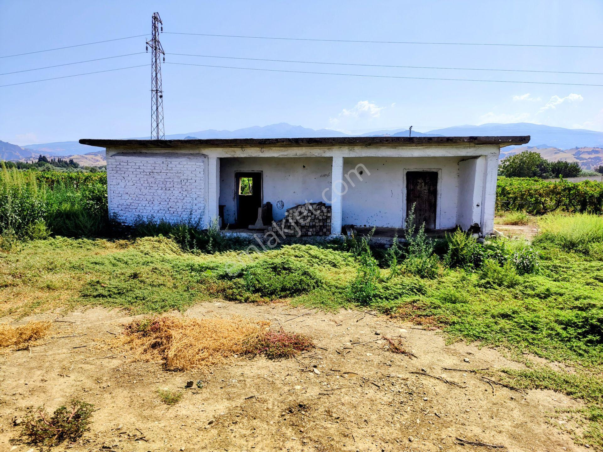 Sahibinden - Fırsat Fiyata - Salihli'de Üzüm Bağı Ve Bağ Evi - Kabazlı Mh