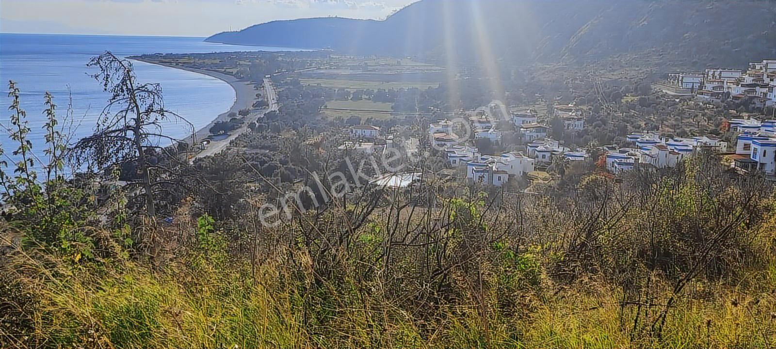 Pınar Emlak Satılık Muğla İli Milas İlçesi Çökertme Mah.manzaral - Görsel 27