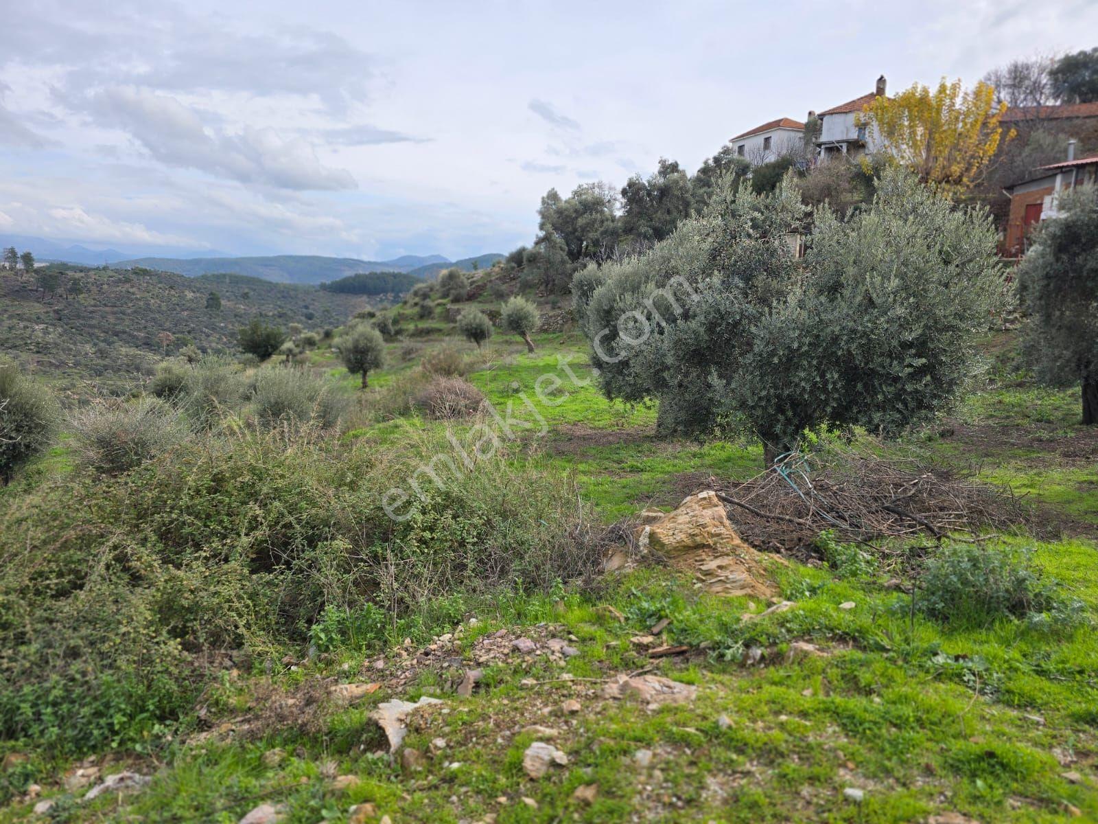Pınar Emlak Satılık Muğla İli Milas İlçesi Gürceğiz Mah.villa Ar - Görsel 20