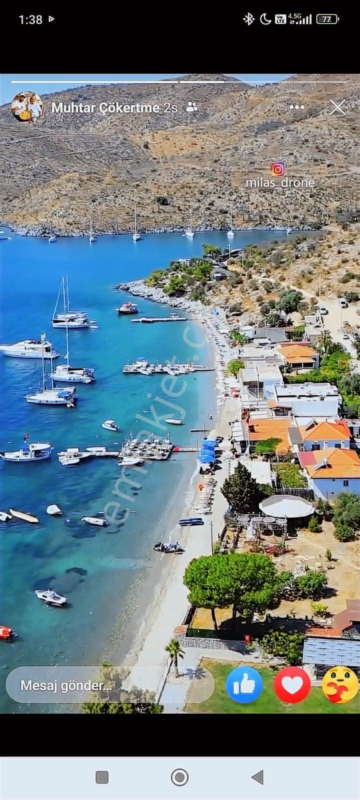 Pınar Emlak Satılık Muğla İli Milas İlçesi Gürceğiz Mah.villa Ar - Görsel 33