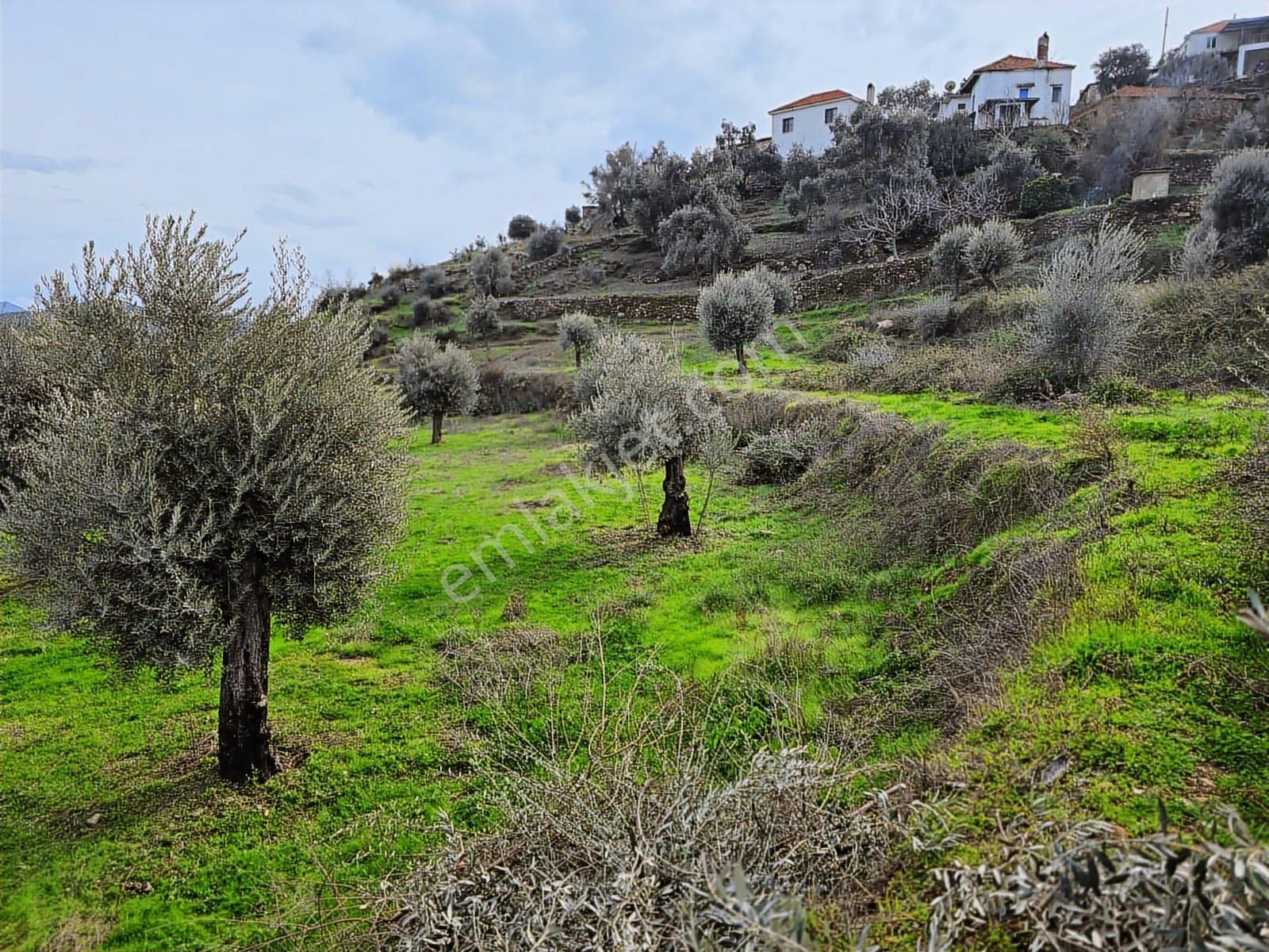 Pınar Emlak Satılık Muğla İli Milas İlçesi Gürceğiz Mah.villa Ar - Görsel 26
