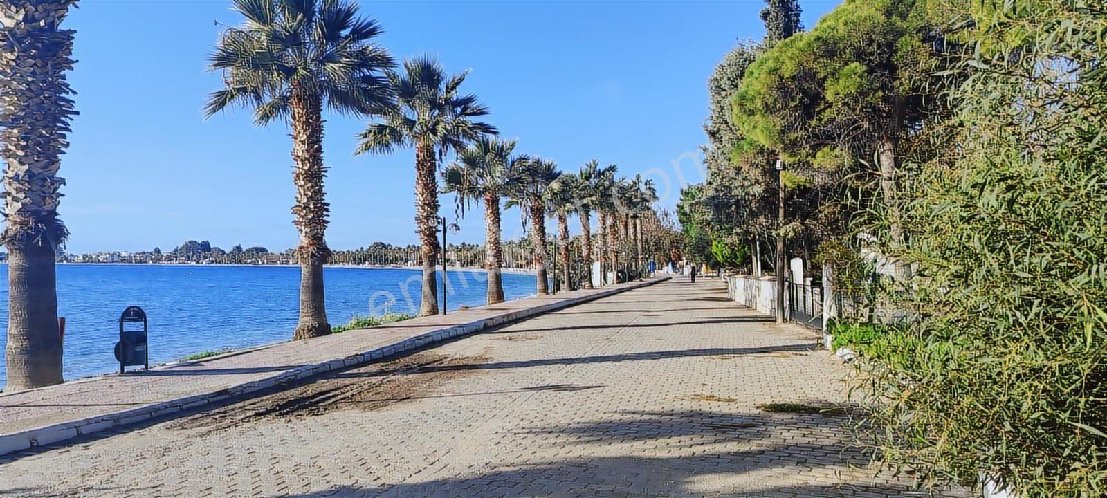 Pınar Emlak Satılık Muğla İli Milas İlçesi Gürceğiz Mah.villa Ar - Görsel 32