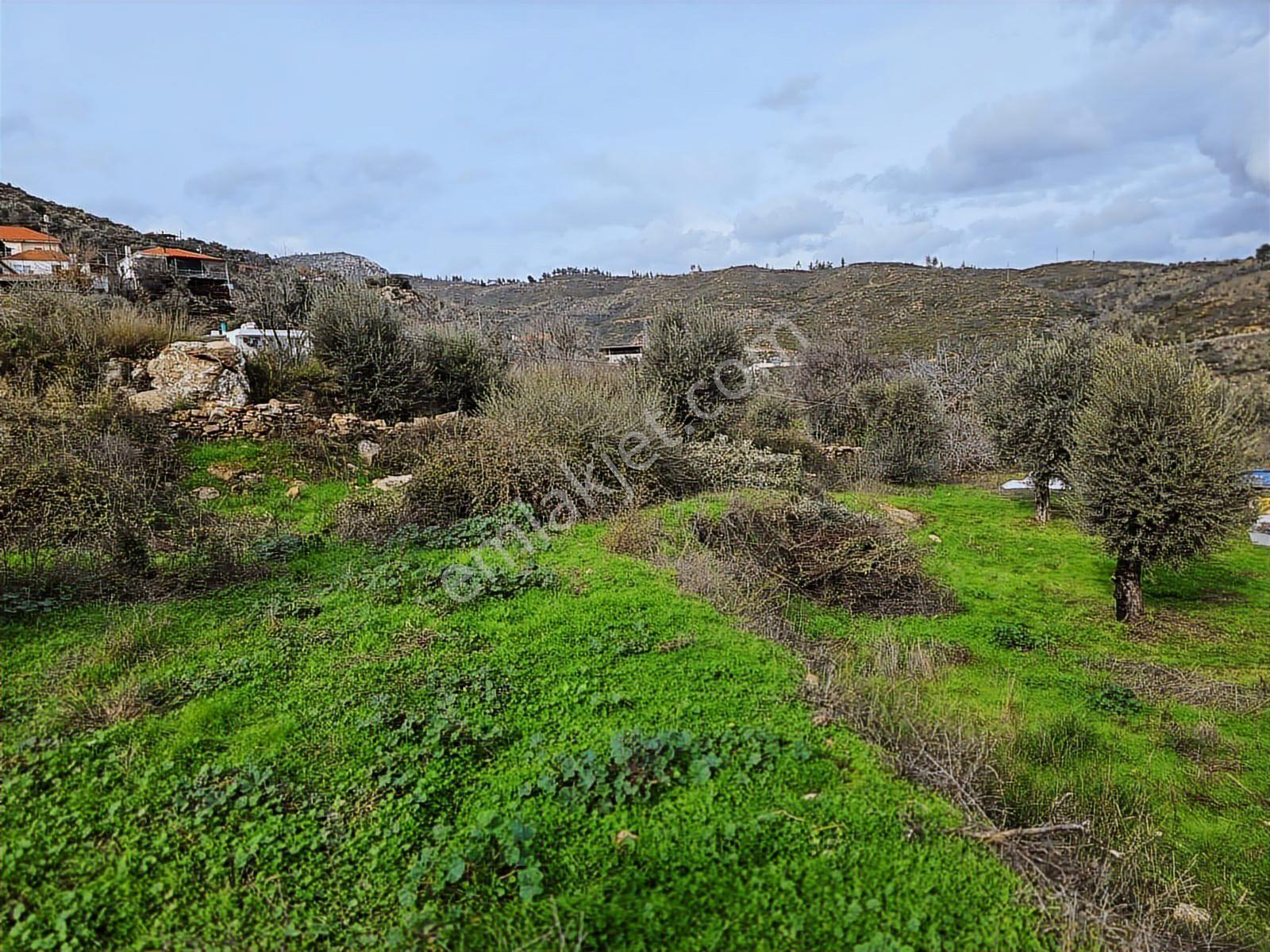 Pınar Emlak Satılık Muğla İli Milas İlçesi Gürceğiz Mah.villa Ar - Görsel 10