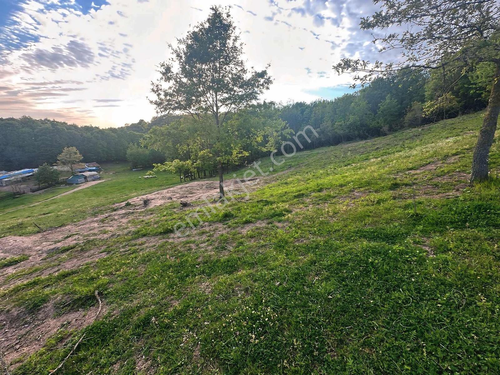 Turyap Soner'den Satılık Doğa İçinde 3428 M² Tarla - Görsel 7