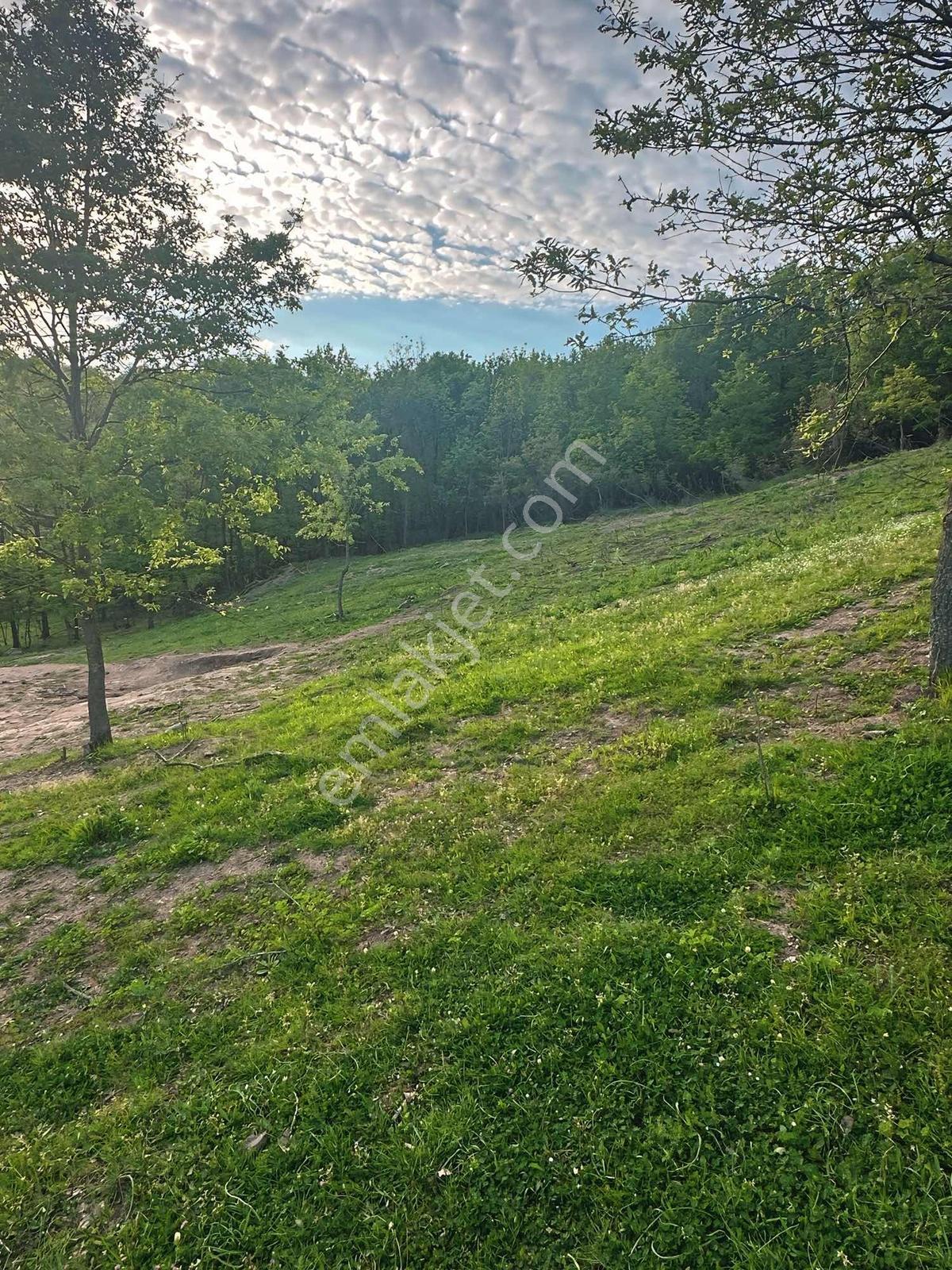 Turyap Soner'den Satılık Doğa İçinde 3428 M² Tarla - Görsel 8