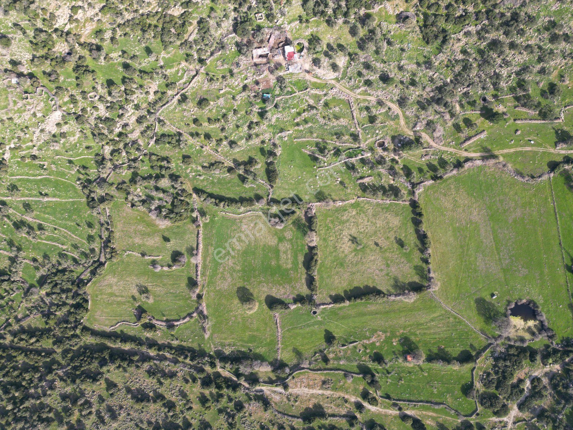 Dikili Denizköyde 38.229 M² Yatırımlık Tarla - Görsel 19