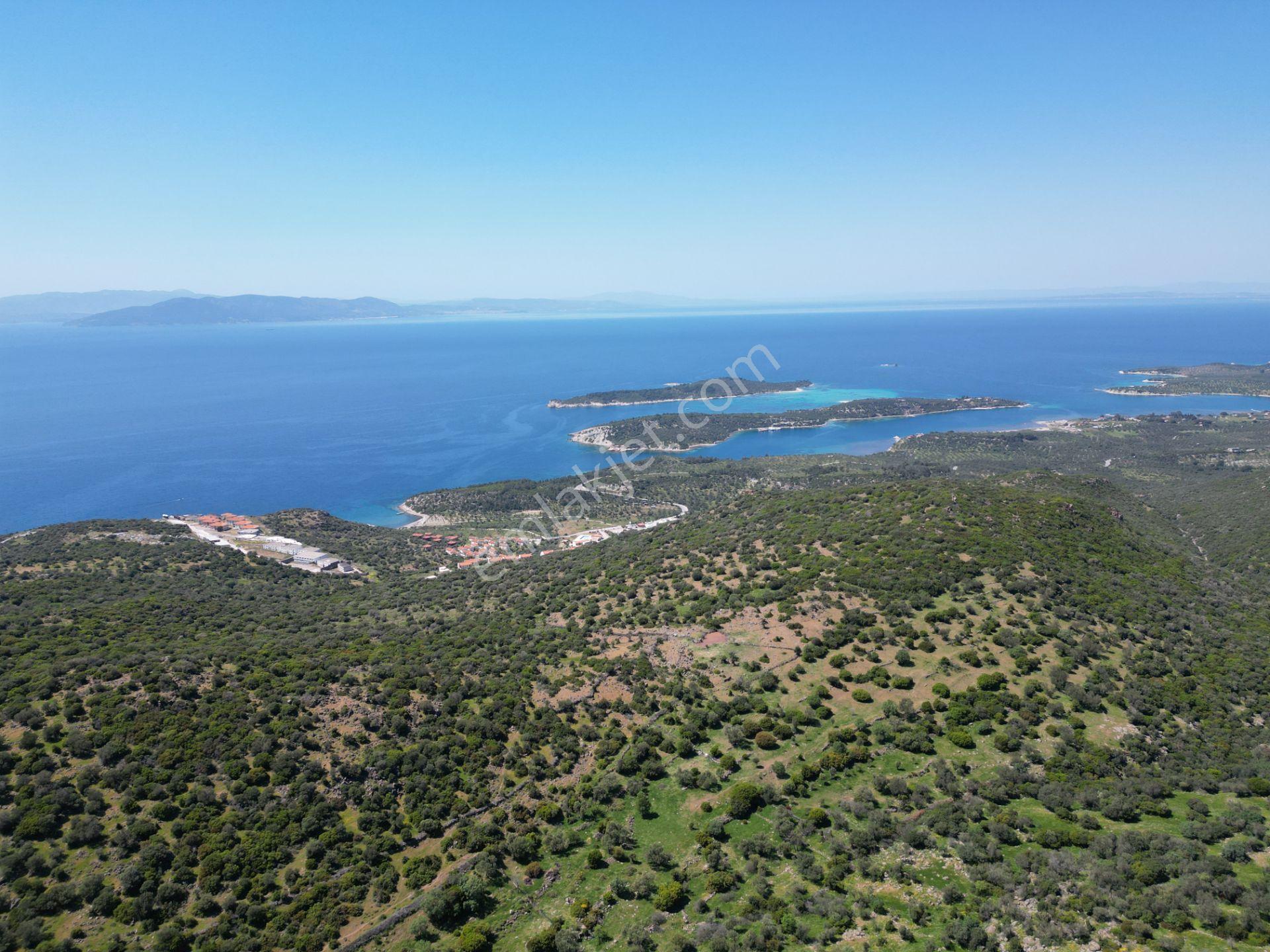 Dikili Denizköyde 38.229 M² Yatırımlık Tarla - Görsel 28