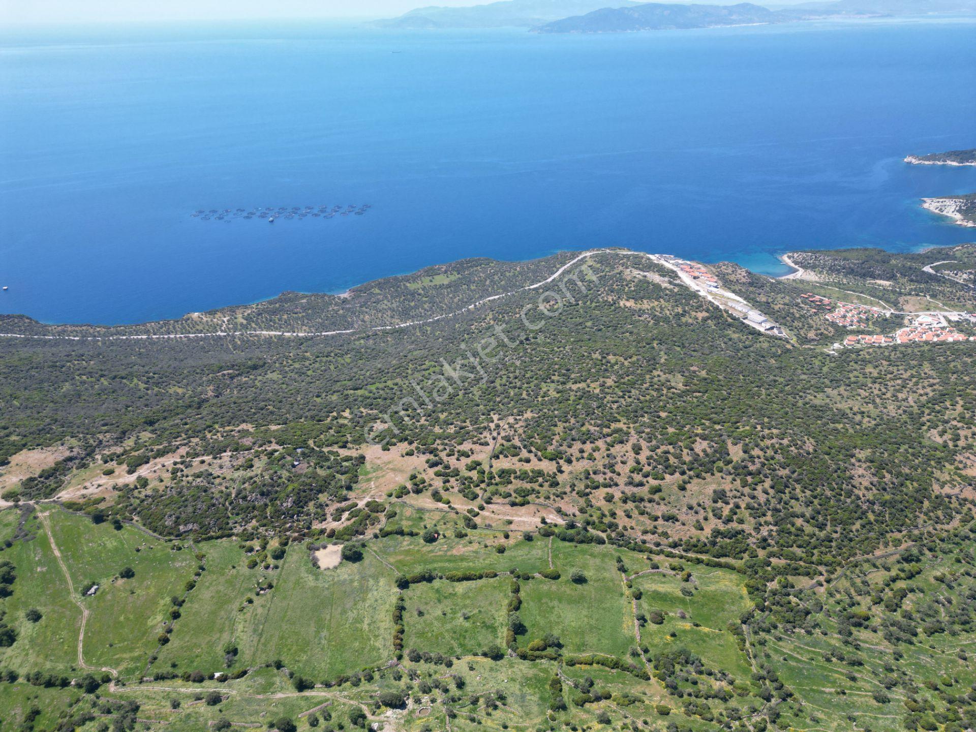 Dikili Denizköyde 38.229 M² Yatırımlık Tarla - Görsel 27