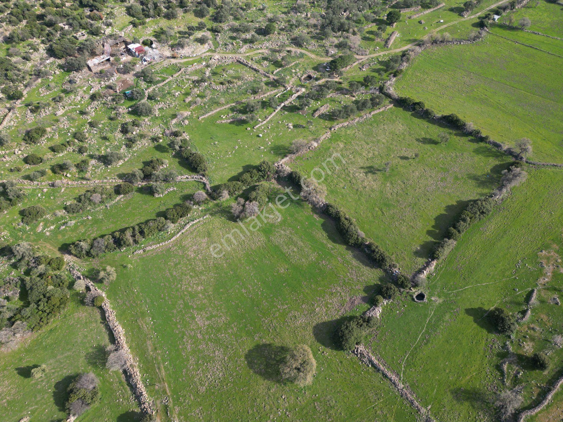 Dikili Denizköyde 38.229 M² Yatırımlık Tarla - Görsel 21