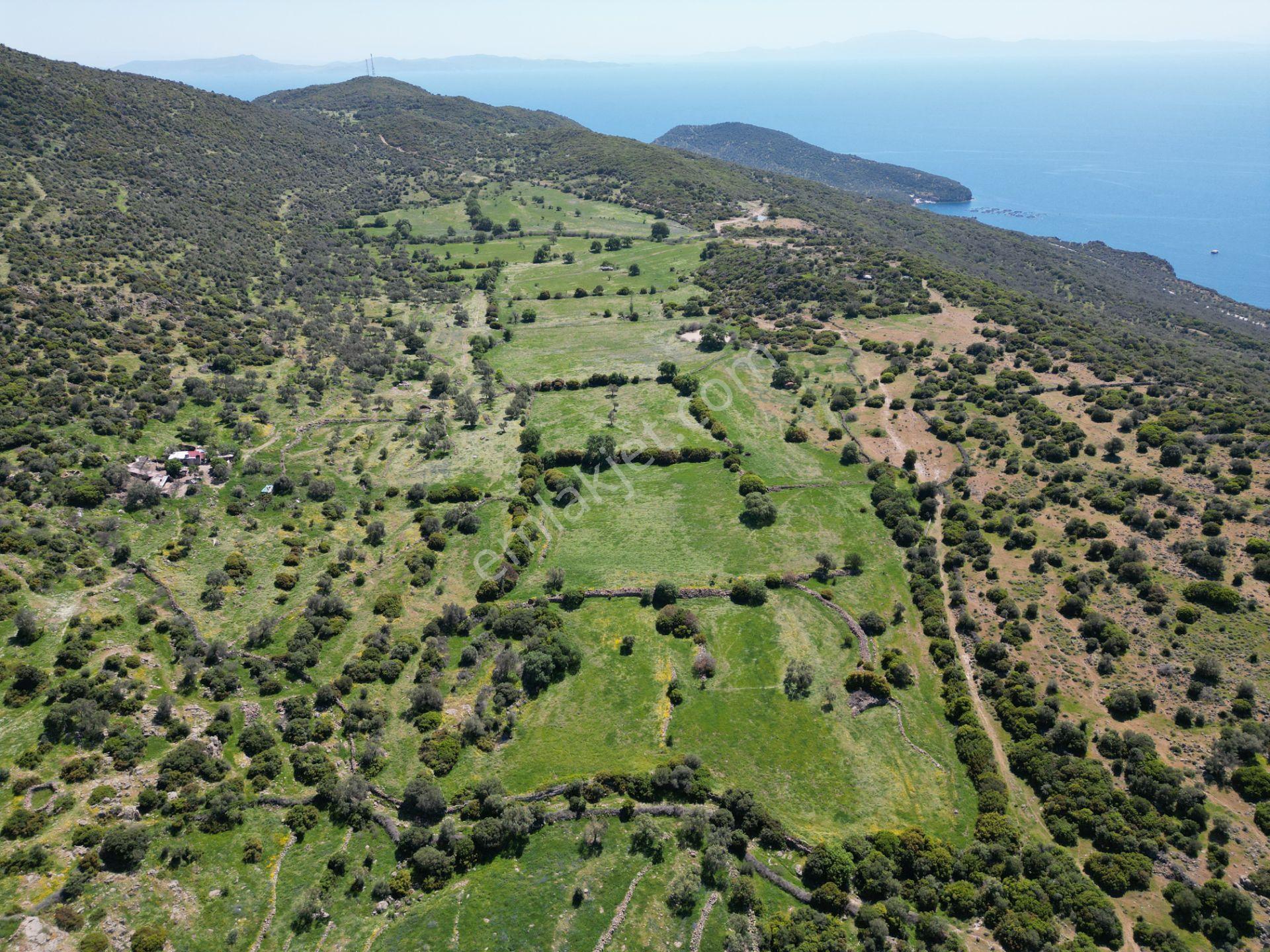 Dikili Denizköyde 38.229 M² Yatırımlık Tarla - Görsel 31