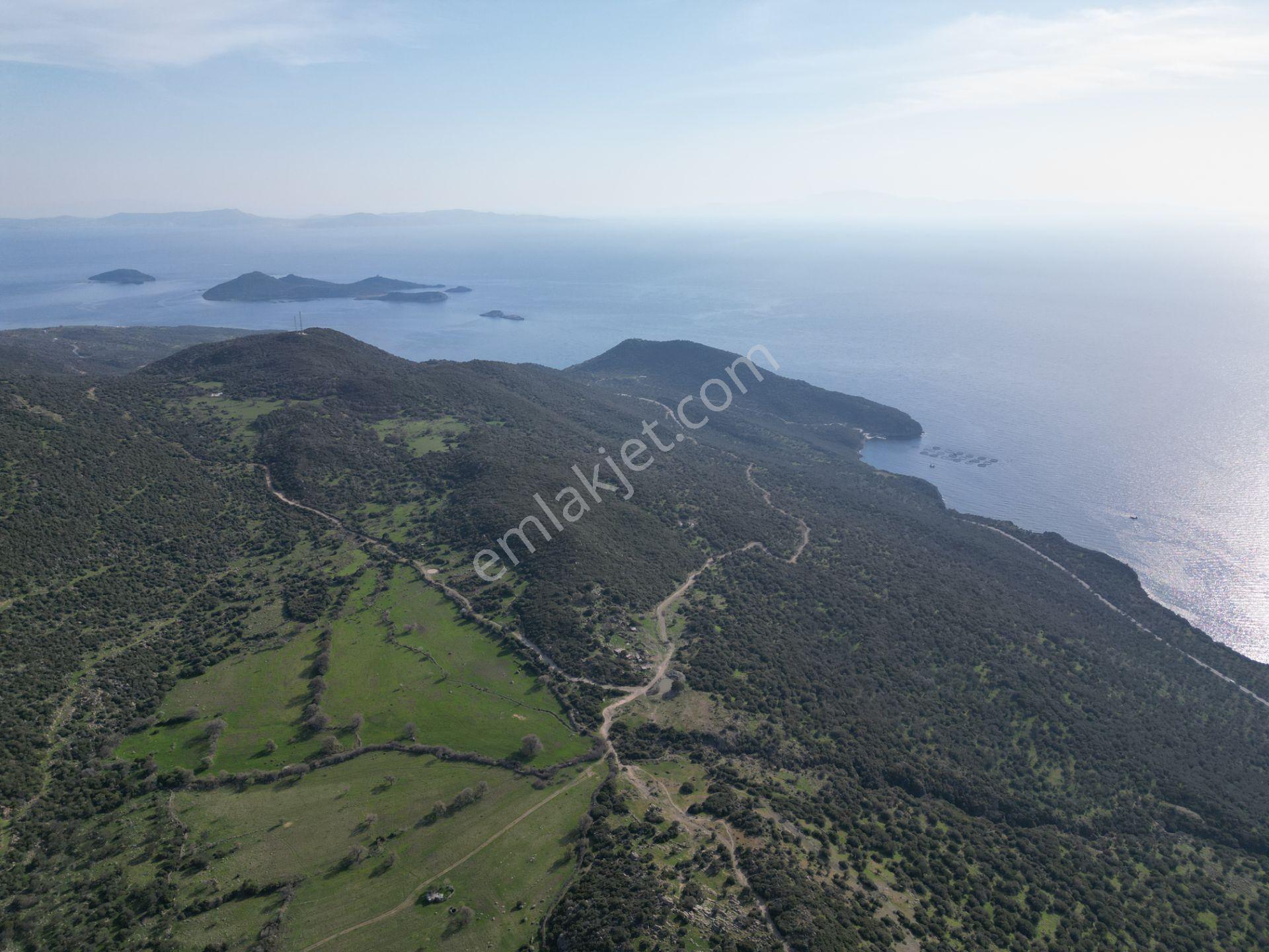 Dikili Denizköyde 138.735 M² Deniz Manzaralı Yatırımlık Tarla - Görsel 17