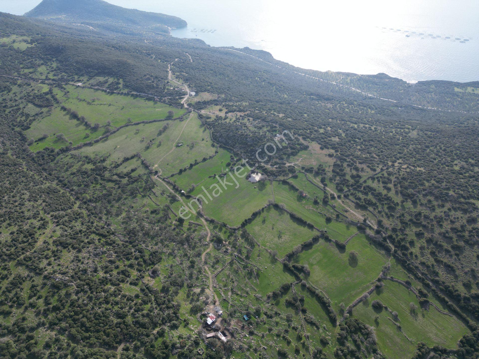 Dikili Denizköyde 138.735 M² Deniz Manzaralı Yatırımlık Tarla - Görsel 21