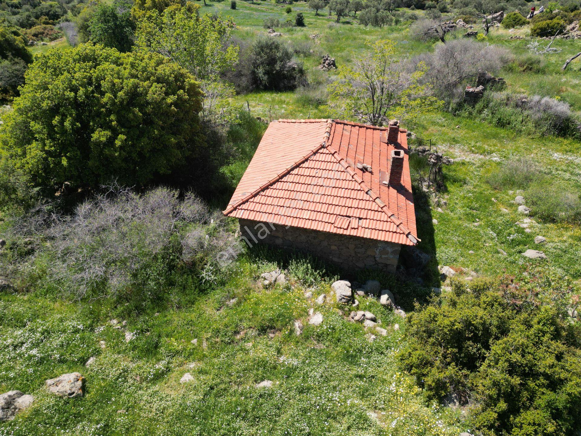 Dikili Denizköyde 138.735 M² Deniz Manzaralı Yatırımlık Tarla - Görsel 26