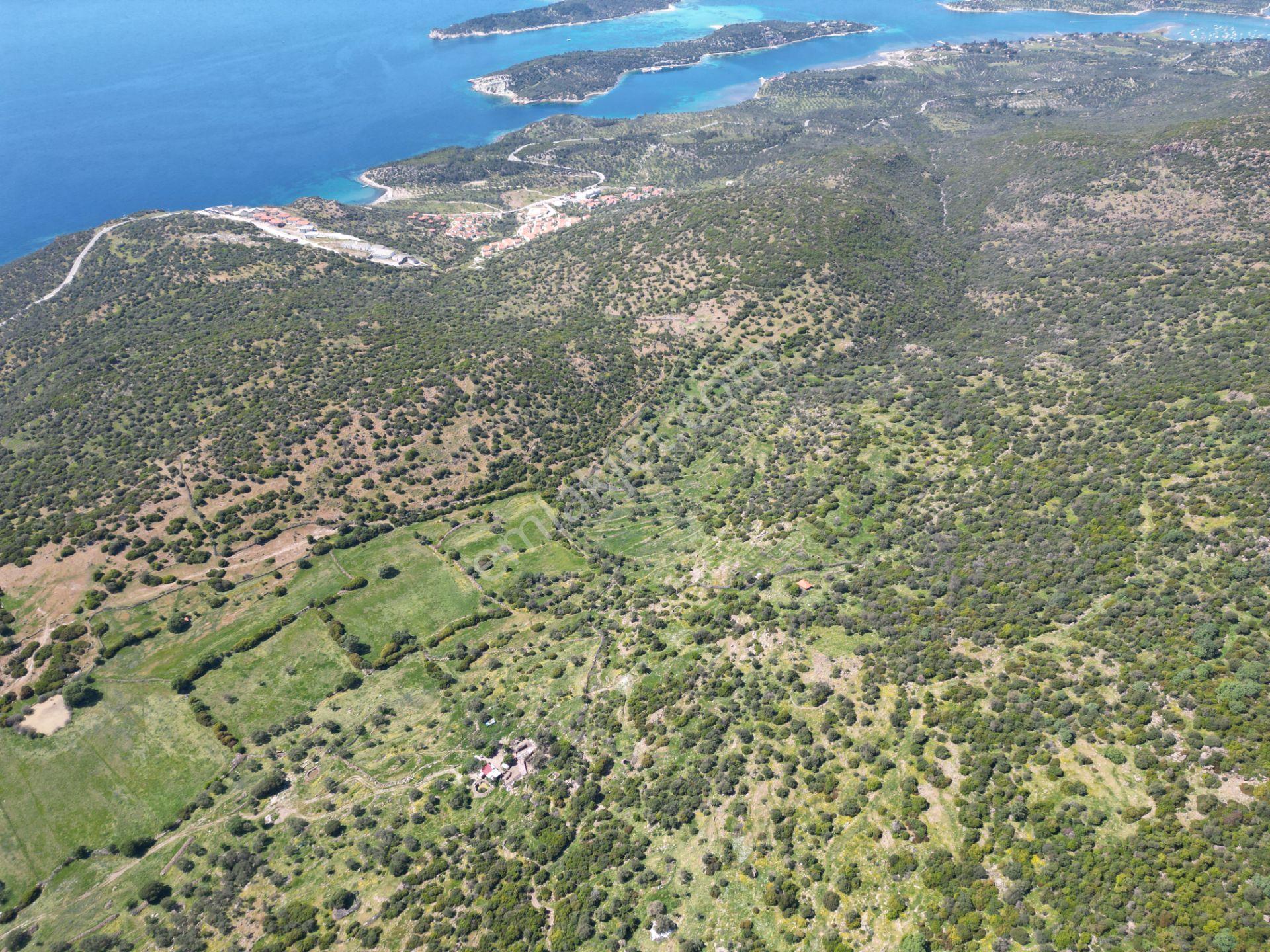 Dikili Denizköyde 138.735 M² Deniz Manzaralı Yatırımlık Tarla - Görsel 28