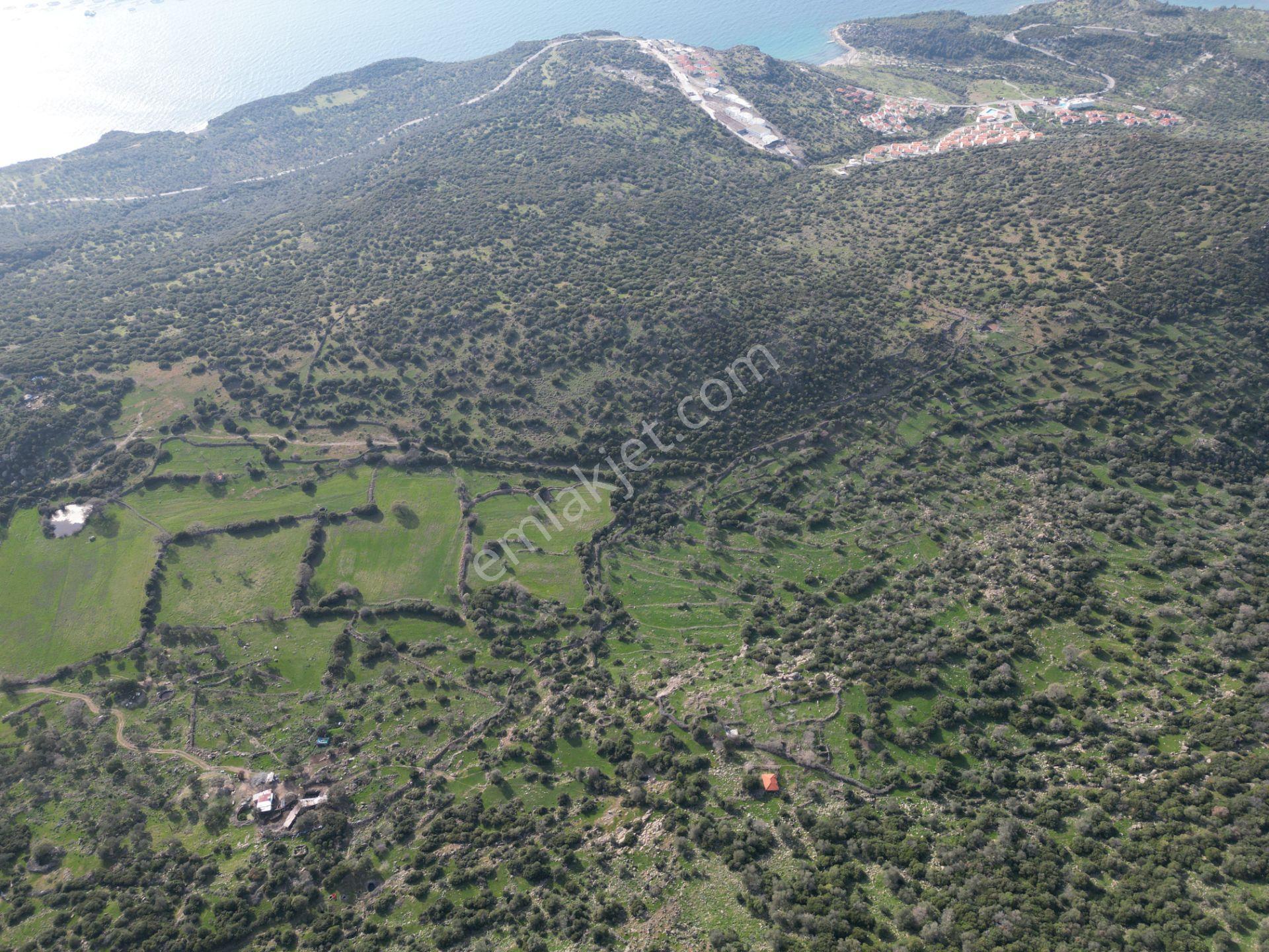 Dikili Denizköyde 138.735 M² Deniz Manzaralı Yatırımlık Tarla - Görsel 23