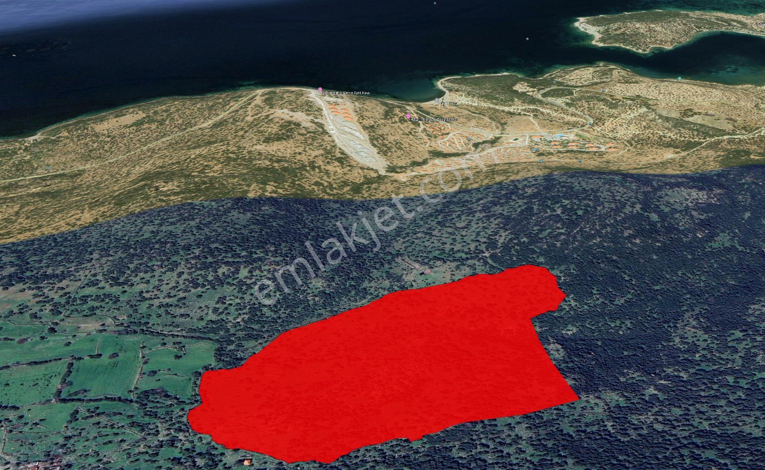 Dikili Denizköyde 138.735 M² Deniz Manzaralı Yatırımlık Tarla - Görsel 12