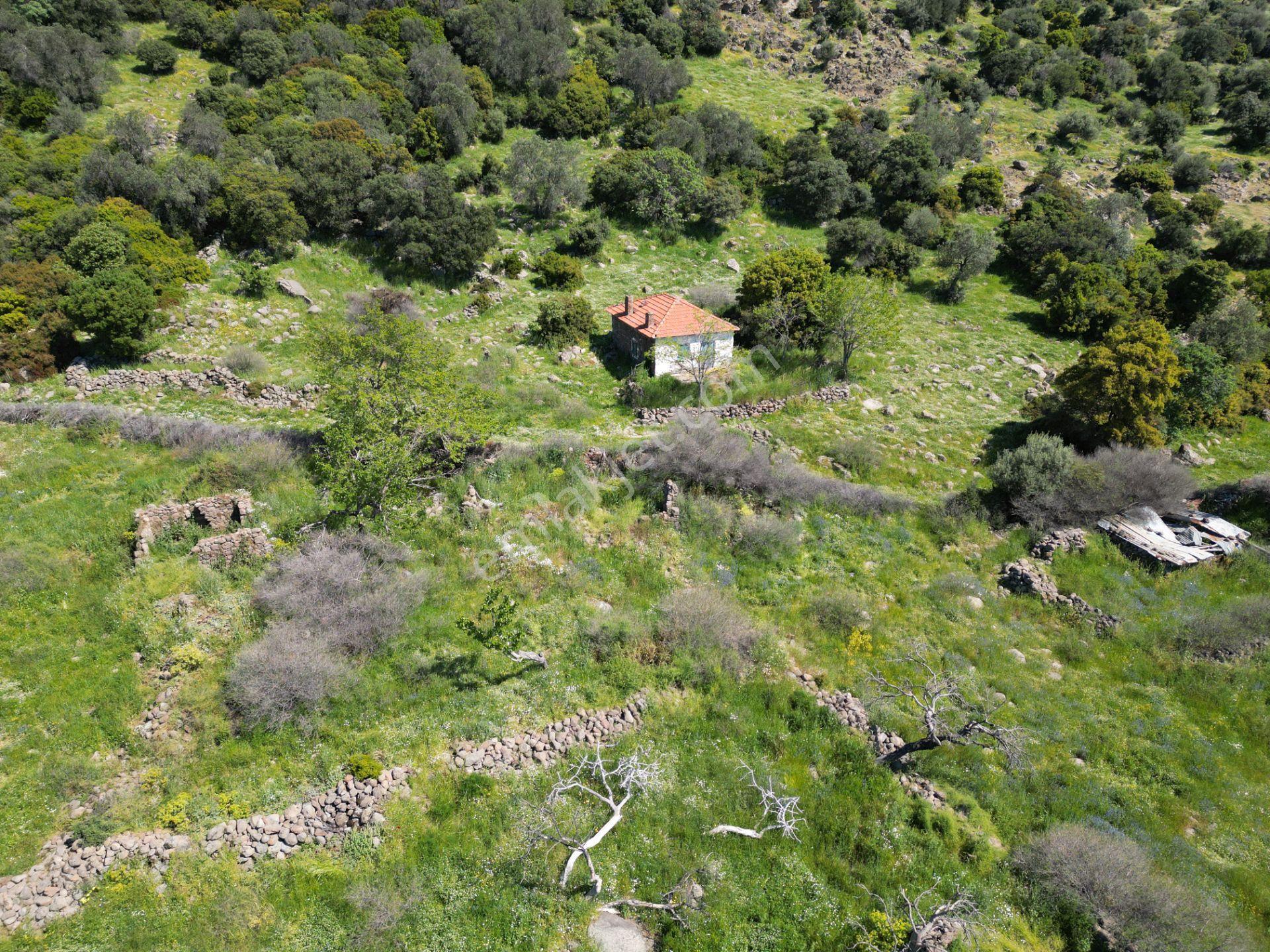 Dikili Denizköyde 138.735 M² Deniz Manzaralı Yatırımlık Tarla - Görsel 30