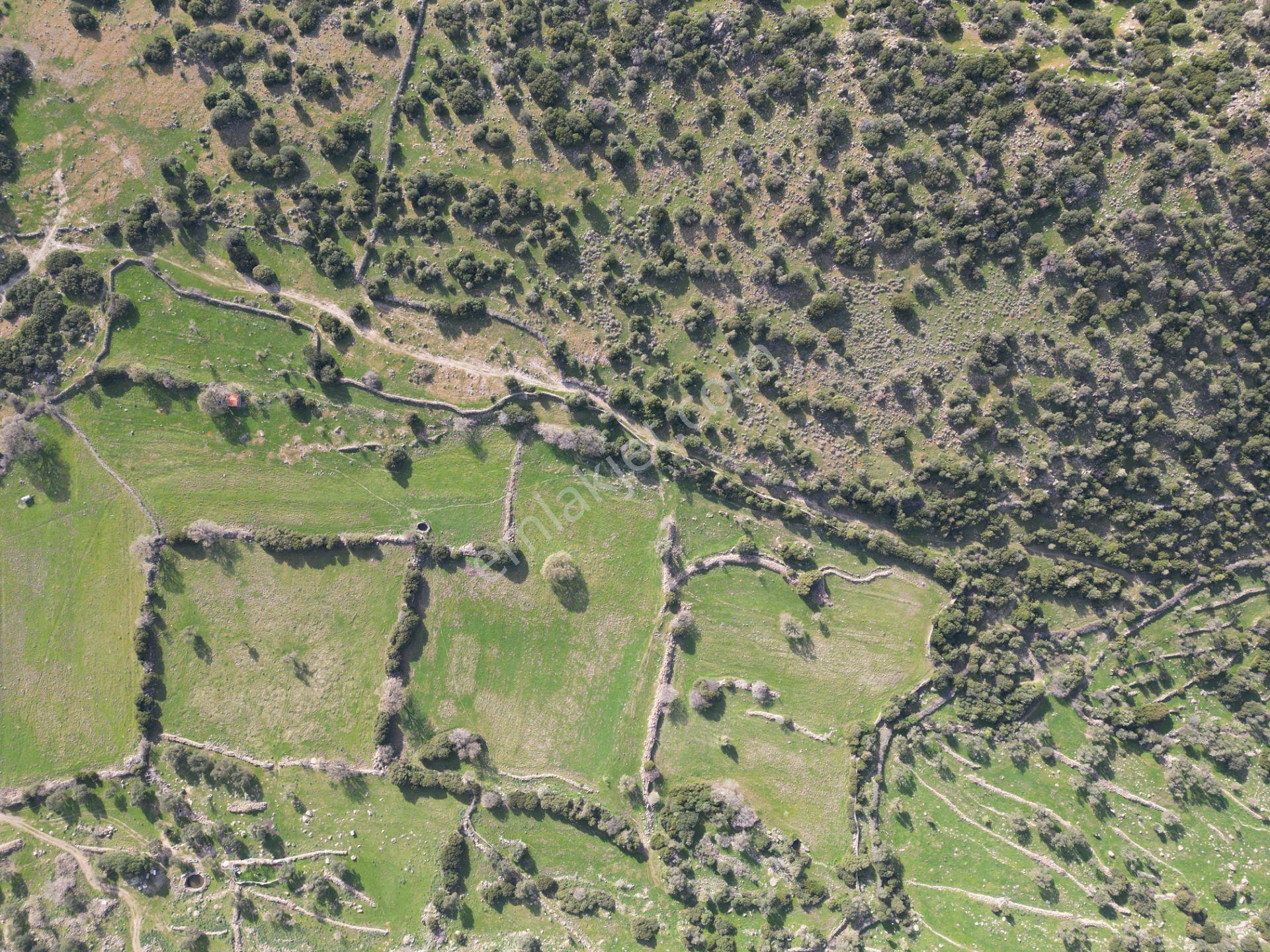 Dikili Denizköyde 138.735 M² Deniz Manzaralı Yatırımlık Tarla - Görsel 18