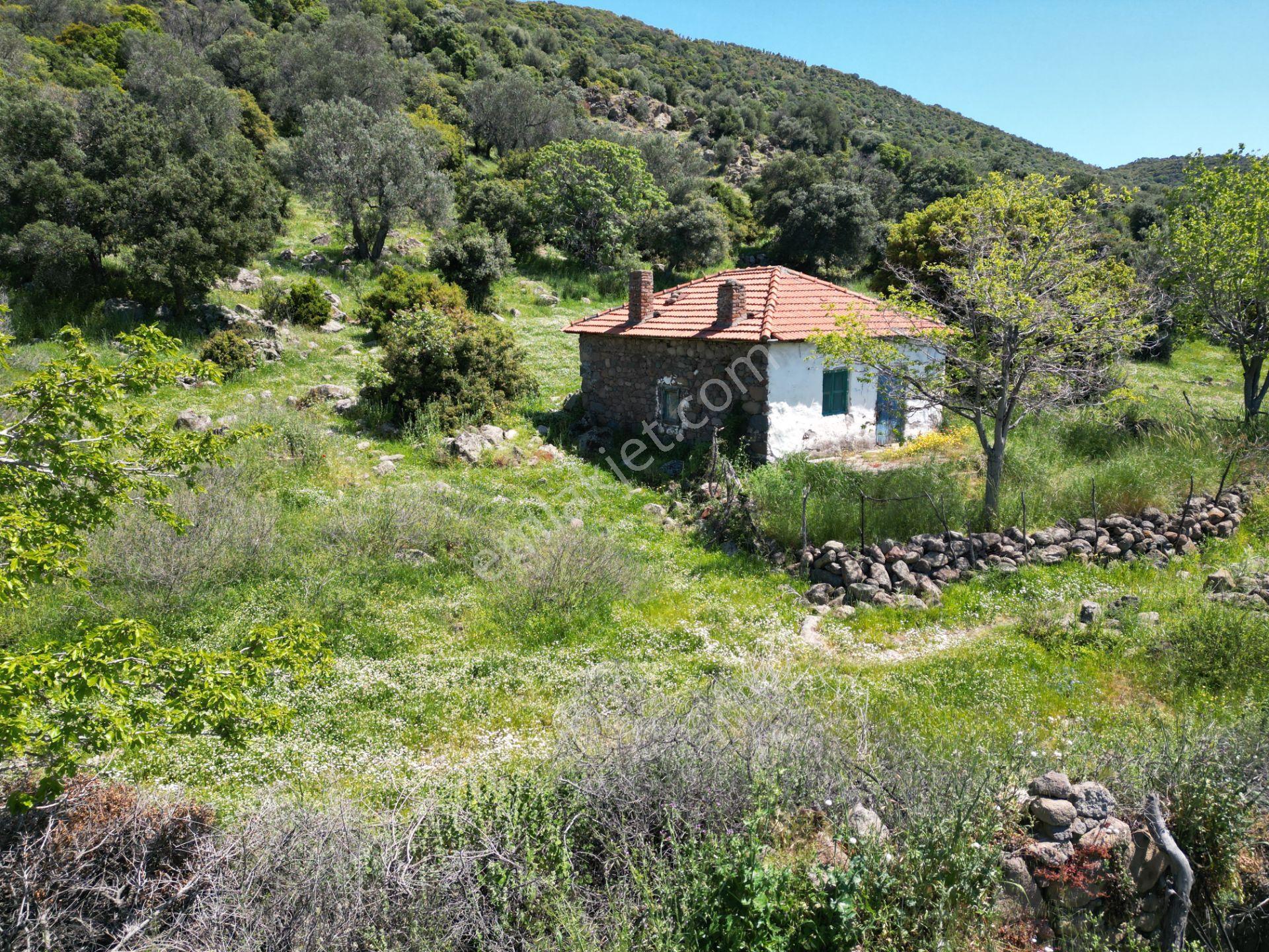 Dikili Denizköyde 138.735 M² Deniz Manzaralı Yatırımlık Tarla - Görsel 25