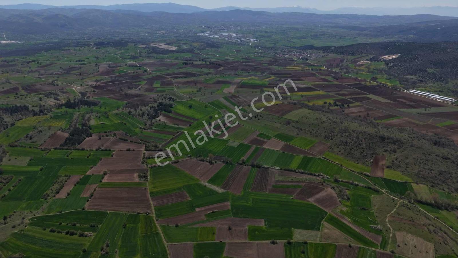 Yatırım Fırsatı! Osb'ye Yakın Yola Cephe 1231 M2 Tarla - Görsel 3