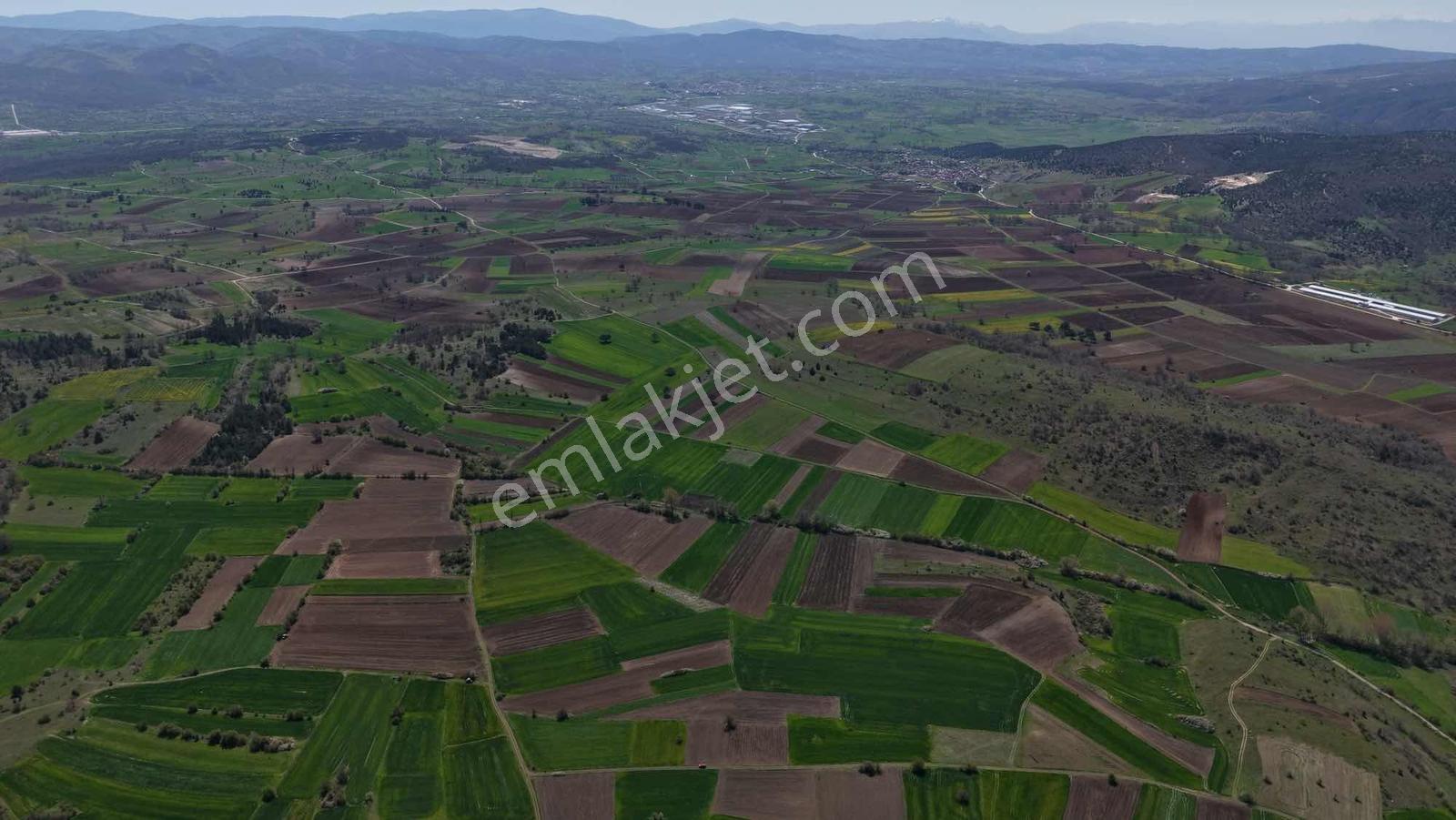 Yatırım Fırsatı! Osb'ye Yakın Yola Cephe 1231 M2 Tarla - Görsel 7