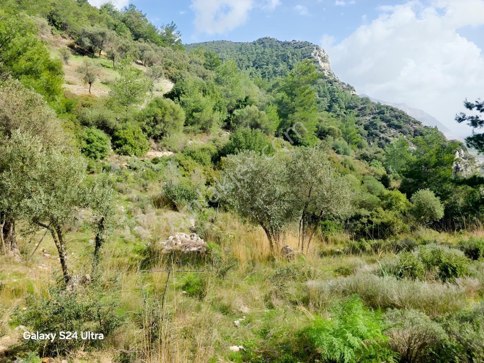 Muğla İli,milas İlçesi,çamlıca Mah.full Deniz Manzaralı 2.255 M2 - Görsel 26