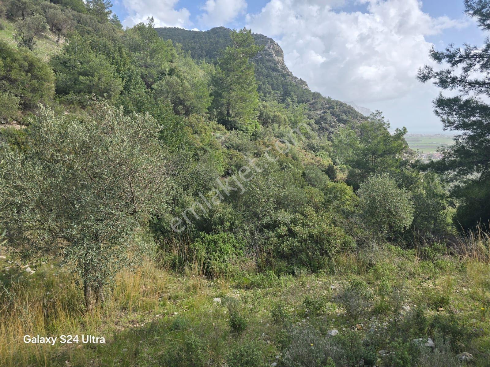 Muğla İli,milas İlçesi,çamlıca Mah.full Deniz Manzaralı 2.255 M2 - Görsel 33