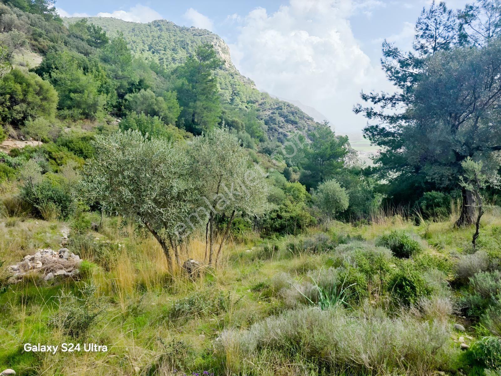 Muğla İli,milas İlçesi,çamlıca Mah.full Deniz Manzaralı 2.255 M2 - Görsel 16