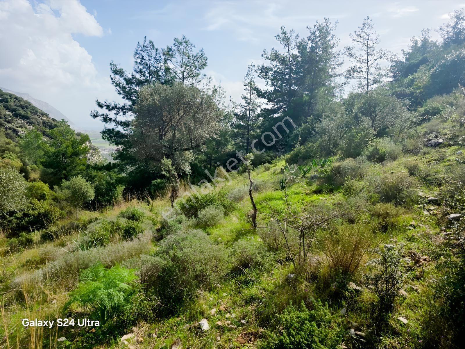 Muğla İli,milas İlçesi,çamlıca Mah.full Deniz Manzaralı 2.255 M2 - Görsel 9