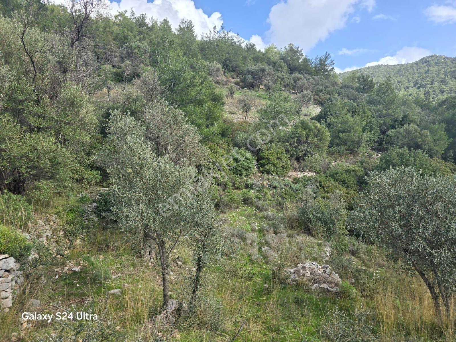 Muğla İli,milas İlçesi,çamlıca Mah.full Deniz Manzaralı 2.255 M2 - Görsel 13