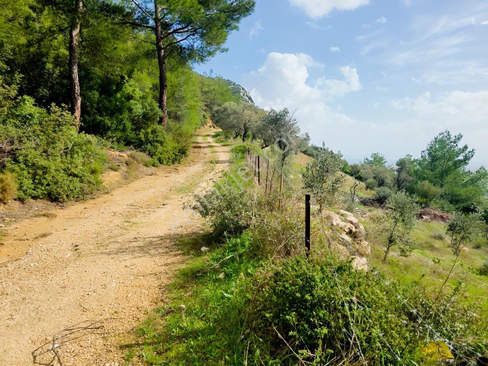 Muğla İli,milas İlçesi,çamlıca Mah.full Deniz Manzaralı 2.255 M2 - Görsel 11