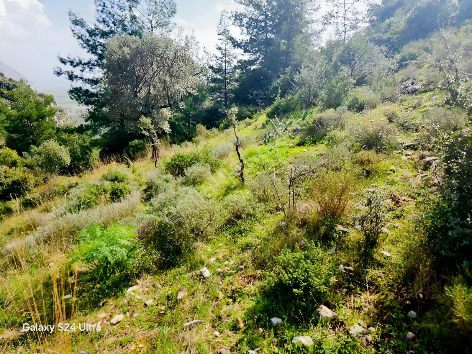 Muğla İli,milas İlçesi,çamlıca Mah.full Deniz Manzaralı 2.255 M2 - Görsel 23