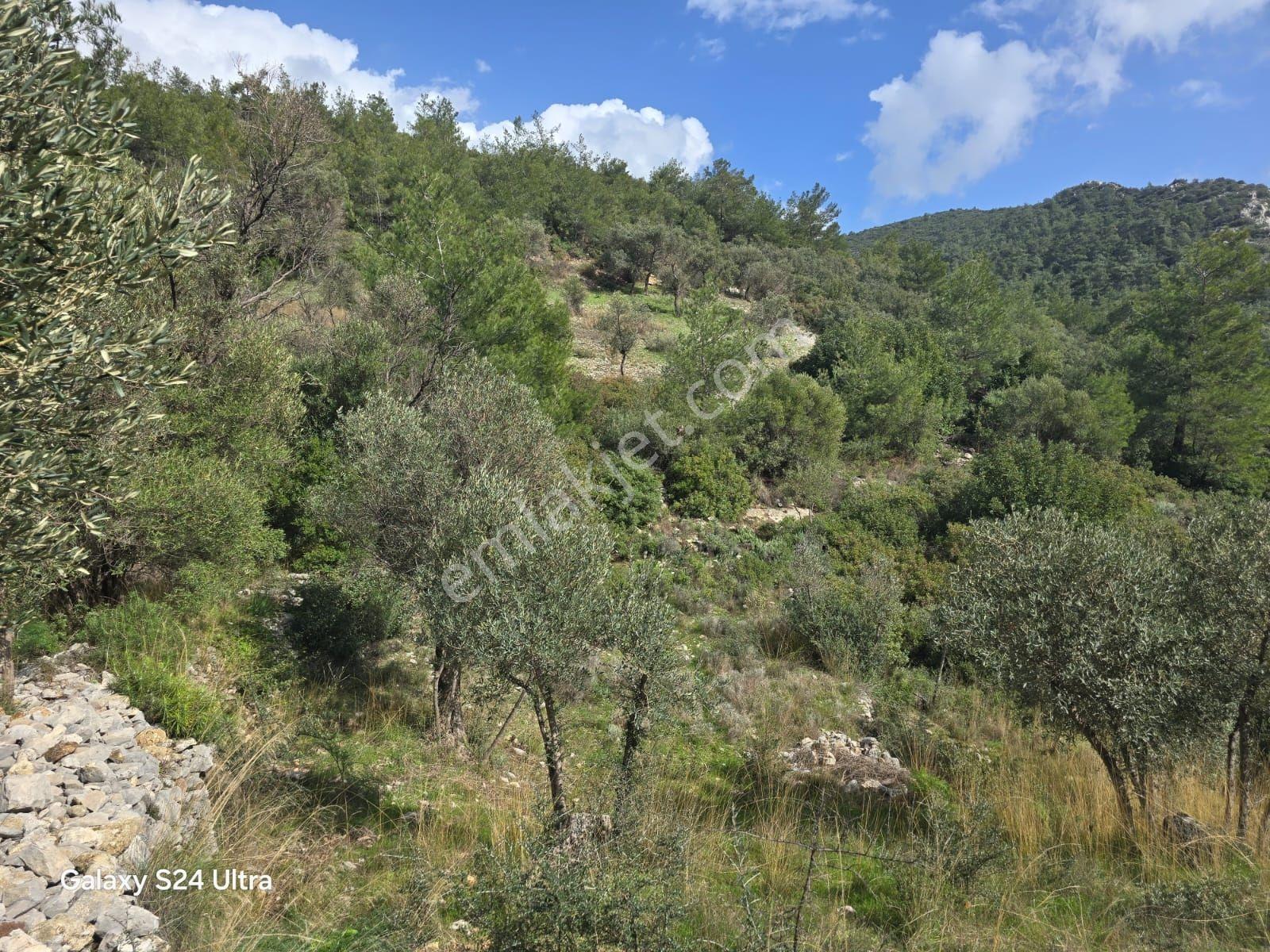 Muğla İli,milas İlçesi,çamlıca Mah.full Deniz Manzaralı 2.255 M2