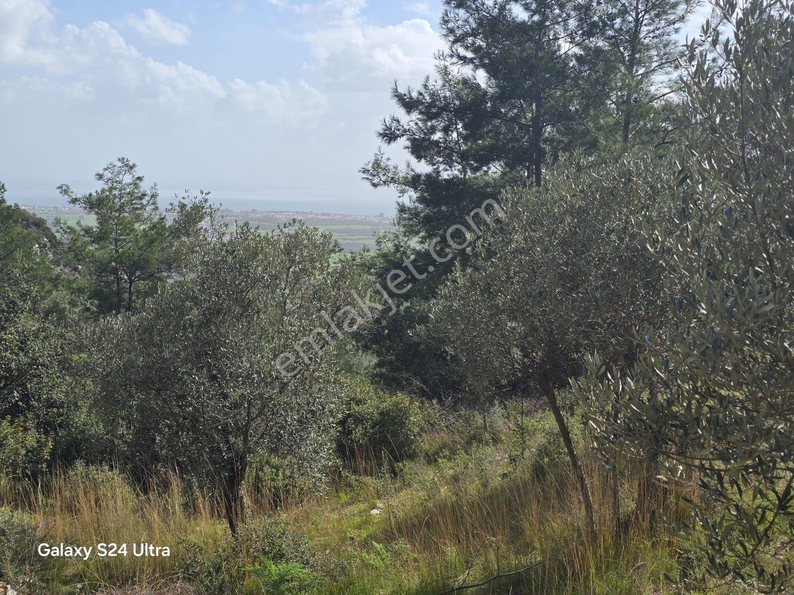 Muğla İli,milas İlçesi,çamlıca Mah.full Deniz Manzaralı 2.255 M2 - Görsel 14