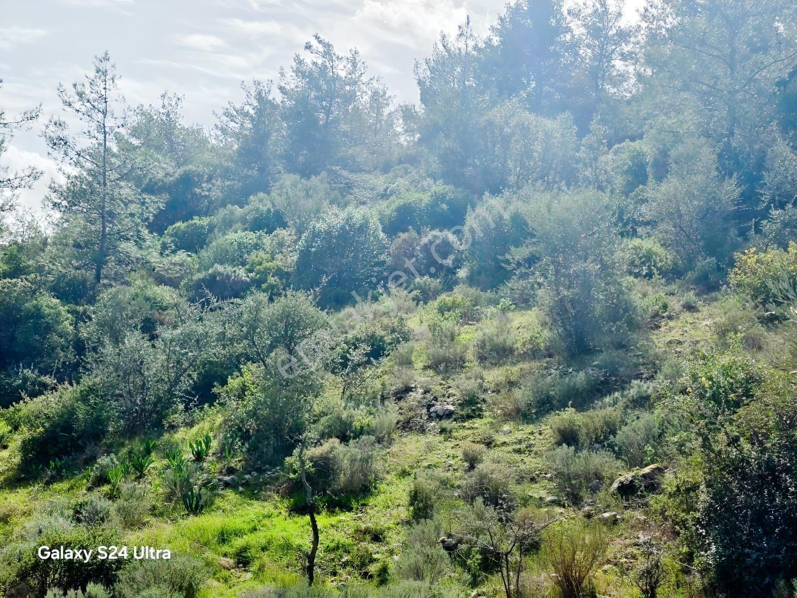 Muğla İli,milas İlçesi,çamlıca Mah.full Deniz Manzaralı 2.255 M2 - Görsel 4