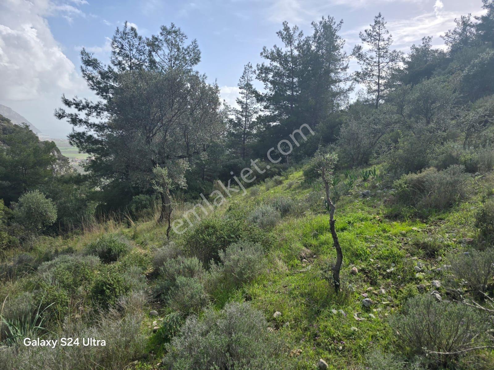 Muğla İli,milas İlçesi,çamlıca Mah.full Deniz Manzaralı 2.255 M2 - Görsel 30